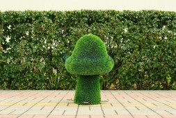 Топиари гриб сказочный, маленький — газон Deluxe