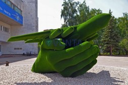 Топиари самолет в ладонях — газон Есо