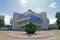 Топиари самолет в ладонях — газон Есо