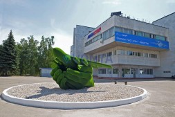 Топиари самолет в ладонях — газон Есо