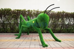 Топиари кузнечик — газон Eco
