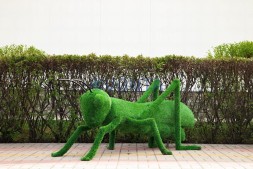 Топиари кузнечик — газон Eco