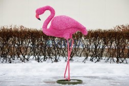 Топиари фламинго, Бриджит — газон Eco
