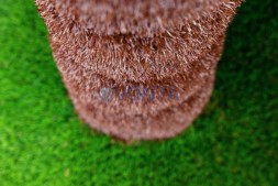 Топиари пальма средняя, кокосовая, h=300см — газон Deluxe + Eco