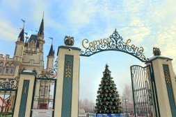 Ель «Кремлевская»