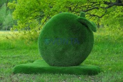 Топиари яблоко Гренни — газон Eco Green