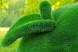 Топиари яблоко Гренни — газон Eco Green