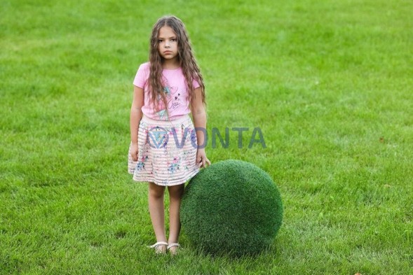 Топиари шар в виде куста туи, d=50 см — газон Eco