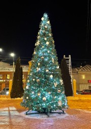 Ель «Европейская» - 5 м