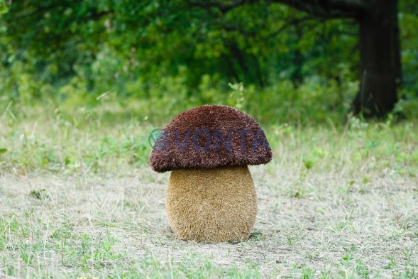 Топиари гриб подосиновик, h=50 см — газон Eco