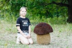 Топиари гриб подосиновик, h=50 см — газон Eco