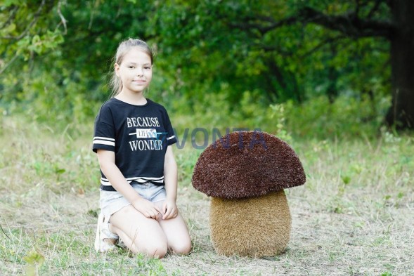 Топиари гриб подосиновик, h=50 см — газон Eco