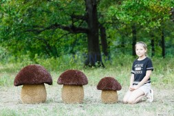 Топиари гриб подосиновик, h=50 см — газон Eco