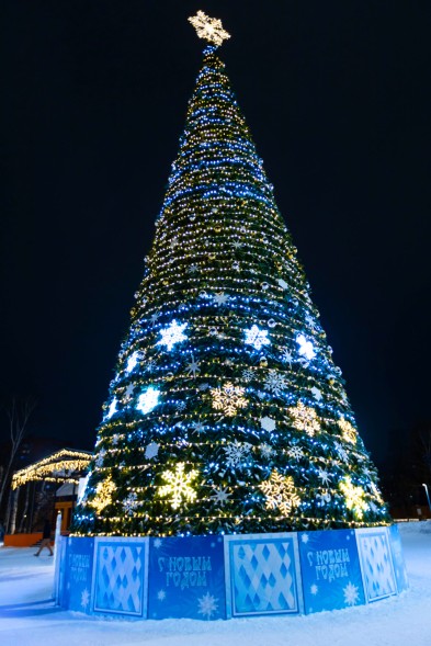 Ель каркасная «Уральская» - 31 м