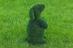 Топиари зайчик Тема — газон Eco