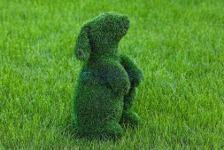 Топиари зайчик Тема — газон Eco