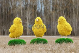 Топиари цыпленок Цыпа — газон Eco
