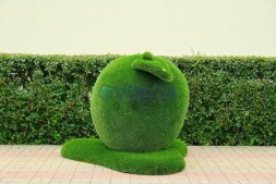 Топиари яблоко Гренни — газон Deluxe