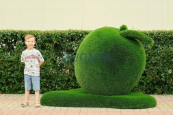 Топиари яблоко Гренни — газон Deluxe