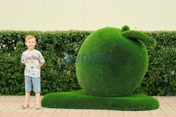 Топиари яблоко Гренни — газон Deluxe