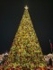 Ель каркасная «Светодинамическая Уральская» - 24 м