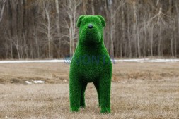 Топиари собака Баскервиль — газон Eco