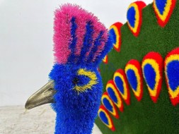 Топиари павлин веерный — газон Eco
