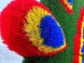 Топиари павлин веерный — газон Eco