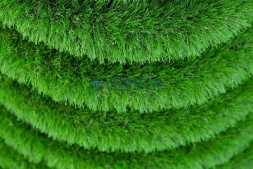 Топиари елка спиралька, h=100 см — газон Deluxe Simple