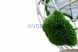 Топиари глобус с кашпо — газон Eco