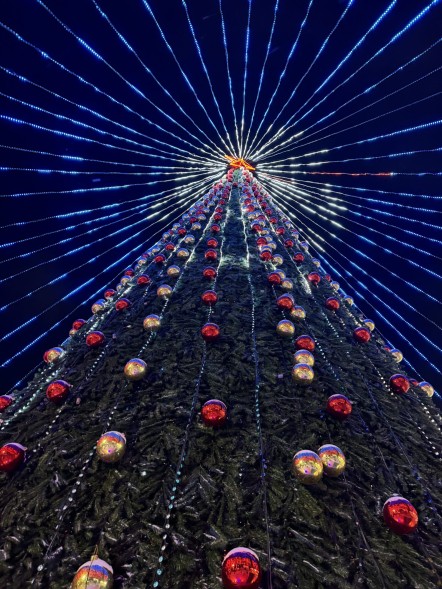 Ель каркасная «Уральская» - 33 м