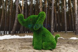 Топиари слоник малыш — газон Premium