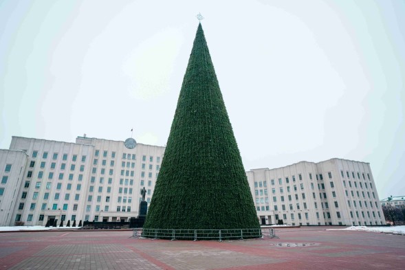 Ель каркасная «Уральская» - 22 м