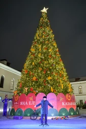 Ель ствольная «Светодинамическая Альпийская» - 4 м