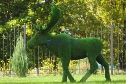 Топиари лось — газон Eco