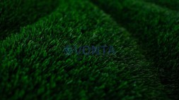 Топиари кувшинка — газон Eco