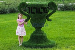 Топиари вазон, греческий — Газон Eco