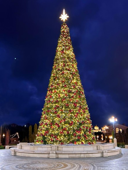 Ель каркасная «Светодинамическая Уральская» - 28 м