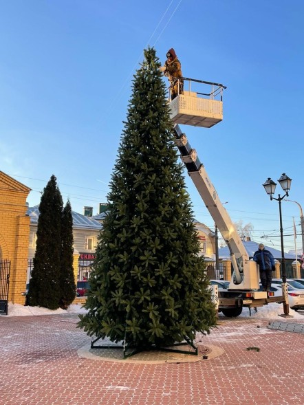 Ель «Европейская» - 8 м