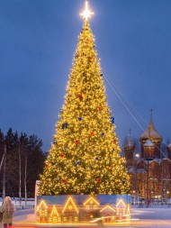 Ель ствольная «Светодинамическая Альпийская» - 5 м