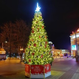 Ель ствольная «Светодинамическая Альпийская» - 5 м