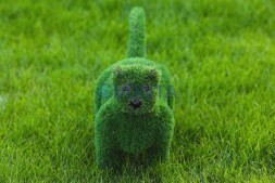 Топиари кошка Мурка — газон Deluxe Green