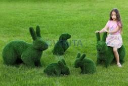 Топиари зайчик Лили — газон Eco