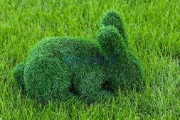 Топиари зайчик Лили — газон Eco