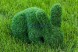 Топиари зайчик Лили — газон Eco