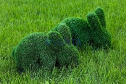 Топиари зайчик Лили — газон Eco