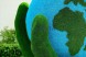 Топиари земной шар в руке — газон Eco
