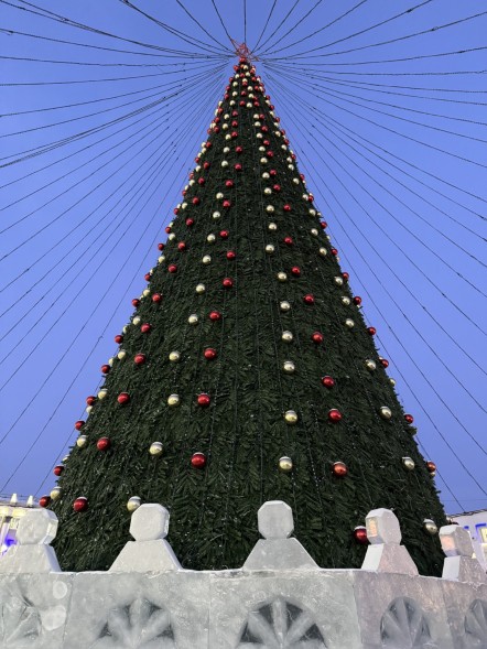 Ель каркасная «Уральская» - 4 м