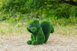 Топиари белочка Малышка — газон Deluxe