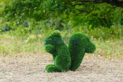 Топиари белочка Малышка — газон Deluxe